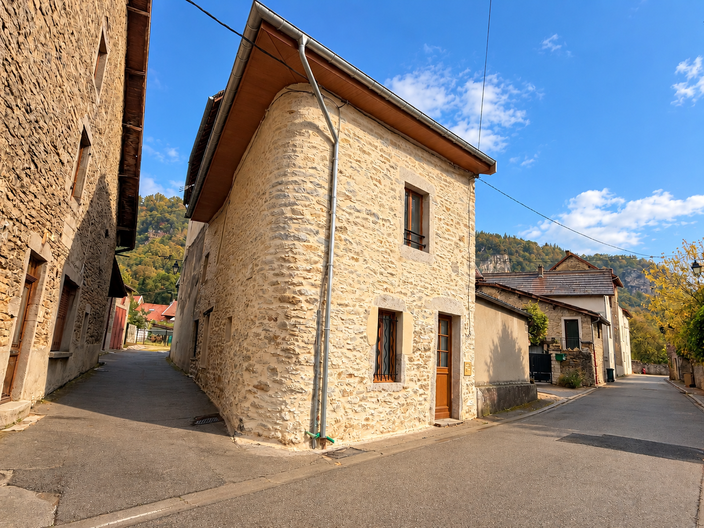 Maison à vendre à Vertrieu, 60 m², 3 pièces – photo 1 sur 7