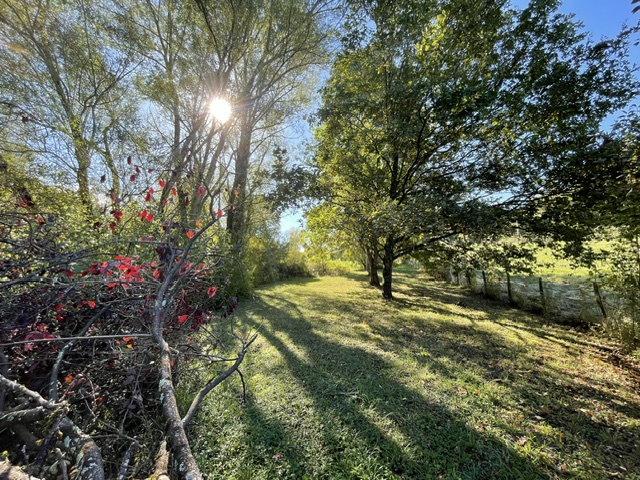 Immeuble à vendre à St martin du mont, 50 m², 1 pièce – photo 3 sur 6